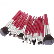 Cosmetic Makeup 22 Piece Brush Set.