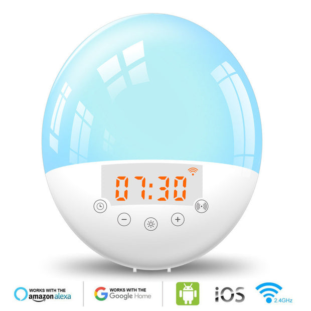 Wake-up Light, Wifi Voice Control Alarm Clock For Kids/Adults, Sunrise Sunset Simulation, FM Radio,  Bedroom Decor Sleep Aid.