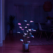 LED Night Lights with Artificial Houseplant Bonsai for Home Decor 🏡💡"