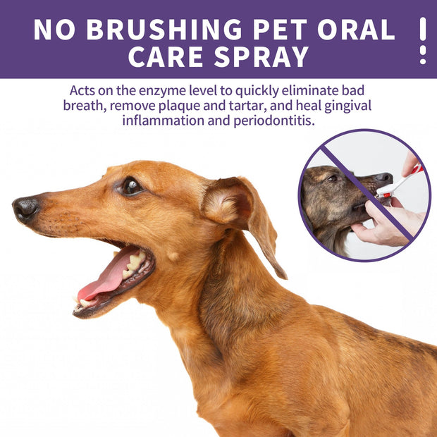 Yegbong Dog and Cat Teeth cleaning spray, Pet Oral Cleaning, Breath Fresh Deodorant.