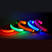 Adjustable Nylon LED Collar for Dogs and Cats - Safety and Glow in Every Step!" 🚶‍♀️🐾