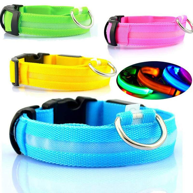 Adjustable Nylon LED Collar for Dogs and Cats - Safety and Glow in Every Step!" 🚶‍♀️🐾