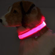 Adjustable Nylon LED Collar for Dogs and Cats - Safety and Glow in Every Step!" 🚶‍♀️🐾