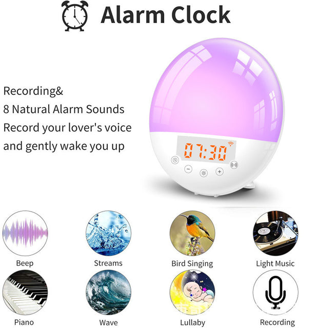 Wake-up Light, Wifi Voice Control Alarm Clock For Kids/Adults, Sunrise Sunset Simulation, FM Radio,  Bedroom Decor Sleep Aid.