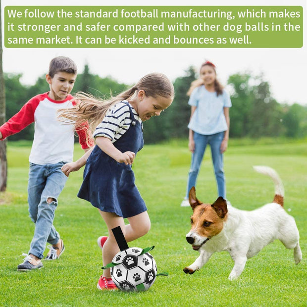 Dog Training Soccer Balls with Grab Tabs – Fetch and Play!