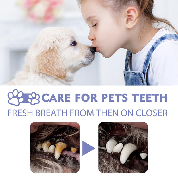 Yegbong Dog and Cat Teeth cleaning spray, Pet Oral Cleaning, Breath Fresh Deodorant.